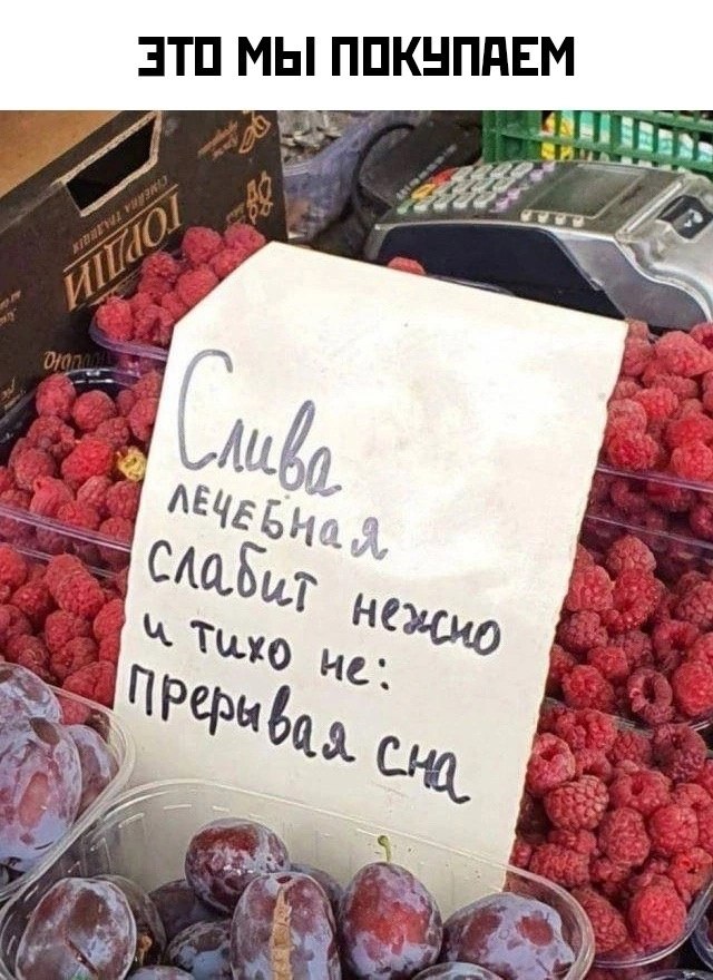  - 16  2024  21:22