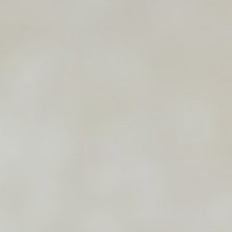 ���� �����������, ���������, 56 ���