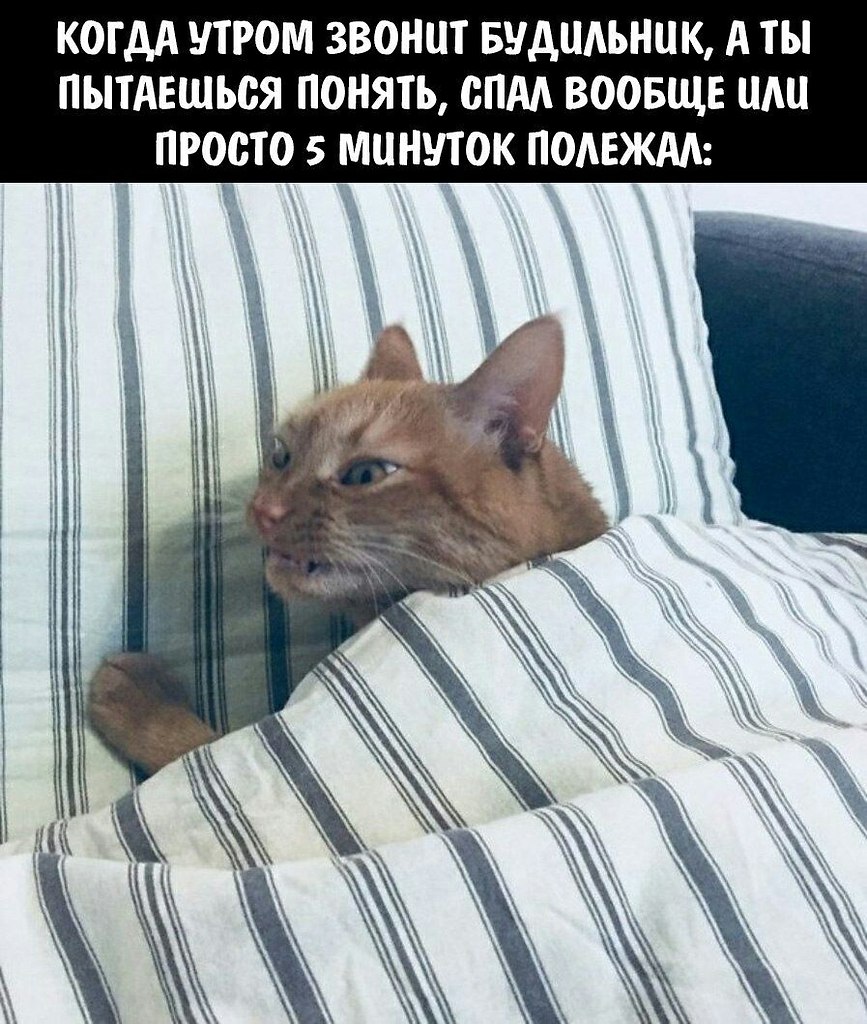    - 8  2023  23:17