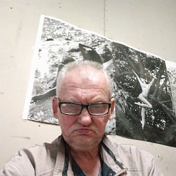 , 61 , 