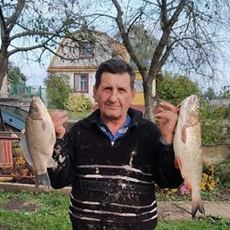 ����, ������, 67 ���