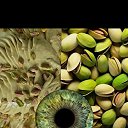 ���� ����, ���������, 18 ��� - ��������� 15 ��� 2025