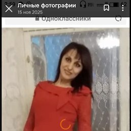 ���� �����, ��������, 40 ��� - ��������� 22 ������� 2026