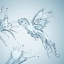 ���� �����, ����������� - ��������� 1 ������� 2026