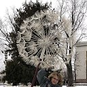 ���� �����, �������, 57 ��� - ��������� 17 ������ 2025 � ������ ���� ����������