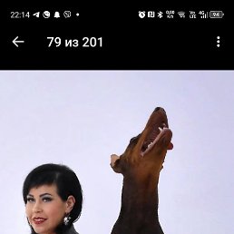 ���� �����, ������, 46 ��� - ��������� 27 ���� 2025