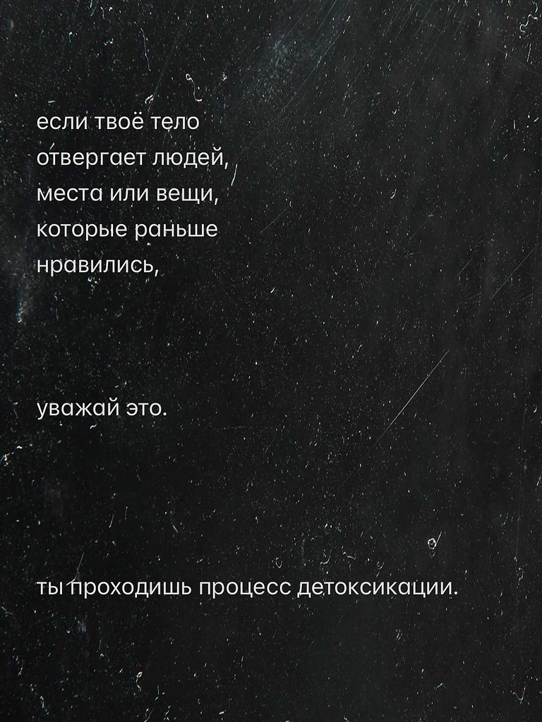 ������ ����� - 24 ������� 2026 � 00:49 - 3