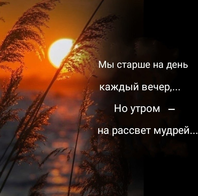   ,    . - 11  2025  16:45 - 3