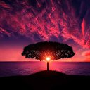 ���� Iriska, �����, 48 ��� - ��������� 2 ������ 2026 � ������ ���� ����������