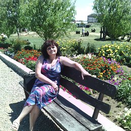 , 61, 