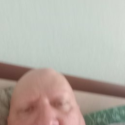  , 41, 