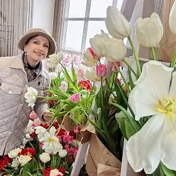 ����, �����-���������, 69 ���