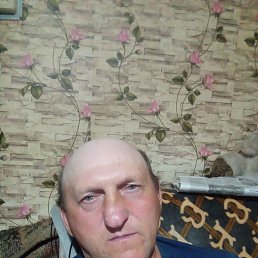 , 51, 