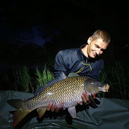 �����, 25 ���, ����