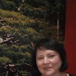 , 53,  