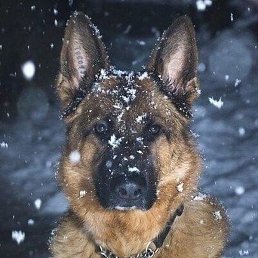 ����, ���������, 30 ���