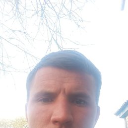  , 33, 