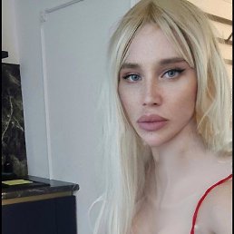 ����, 38 ���, ���������
