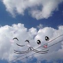 ���� �����, ������������, 71 ��� - ��������� 15 ���� 2026 � ������ ���� ����������