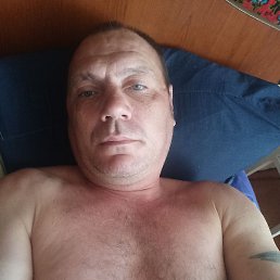 , 41 , 