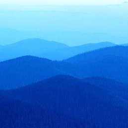 ������, ������, 44 ����