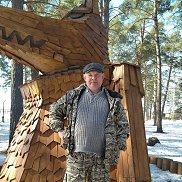  , 51 , 