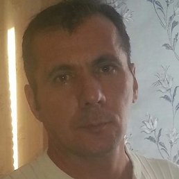 �����, ������������, 39 ���