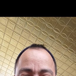 , 42, 