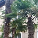 ���� �������, ������, 46 ��� - ��������� 9 ������ 2024 � ������ ���� ����������