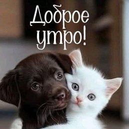 ���� ��������, ������, 42 ���� - ��������� 17 ������� 2025