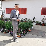 ������, 50 ���, ���������