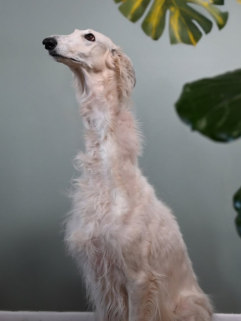  .   ,  -  .  .     . - 7