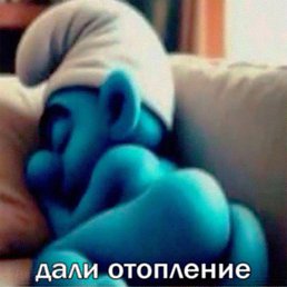 �����, �����-���������, 21 ���
