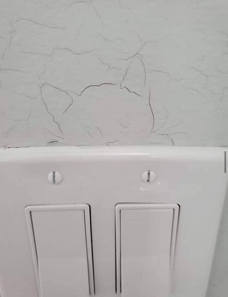 � ���� ����� �����! - 8