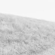 ����, 26 ���, ��������