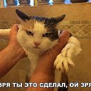 ���� �������, ������, 41 ��� - ��������� 27 ����� 2026 � ������ ���� ����������