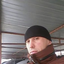 �����, �������, 40 ���