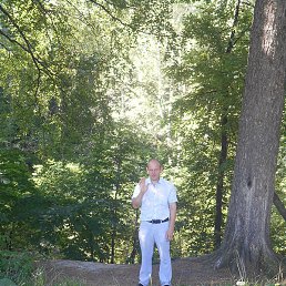 ������, ���������, 46 ���