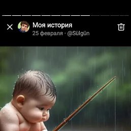 �����, ������, 43 ����