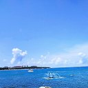���� ������, ������, 67 ��� - ��������� 5 ������� 2026 � ������ ���� ����������