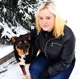 ��������, �����