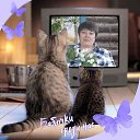 ���� ��������, ������, 62 ���� - ��������� 10 ������� 2026 � ������ ���� ����������