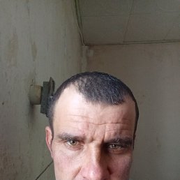 ������, 33 ����, ������