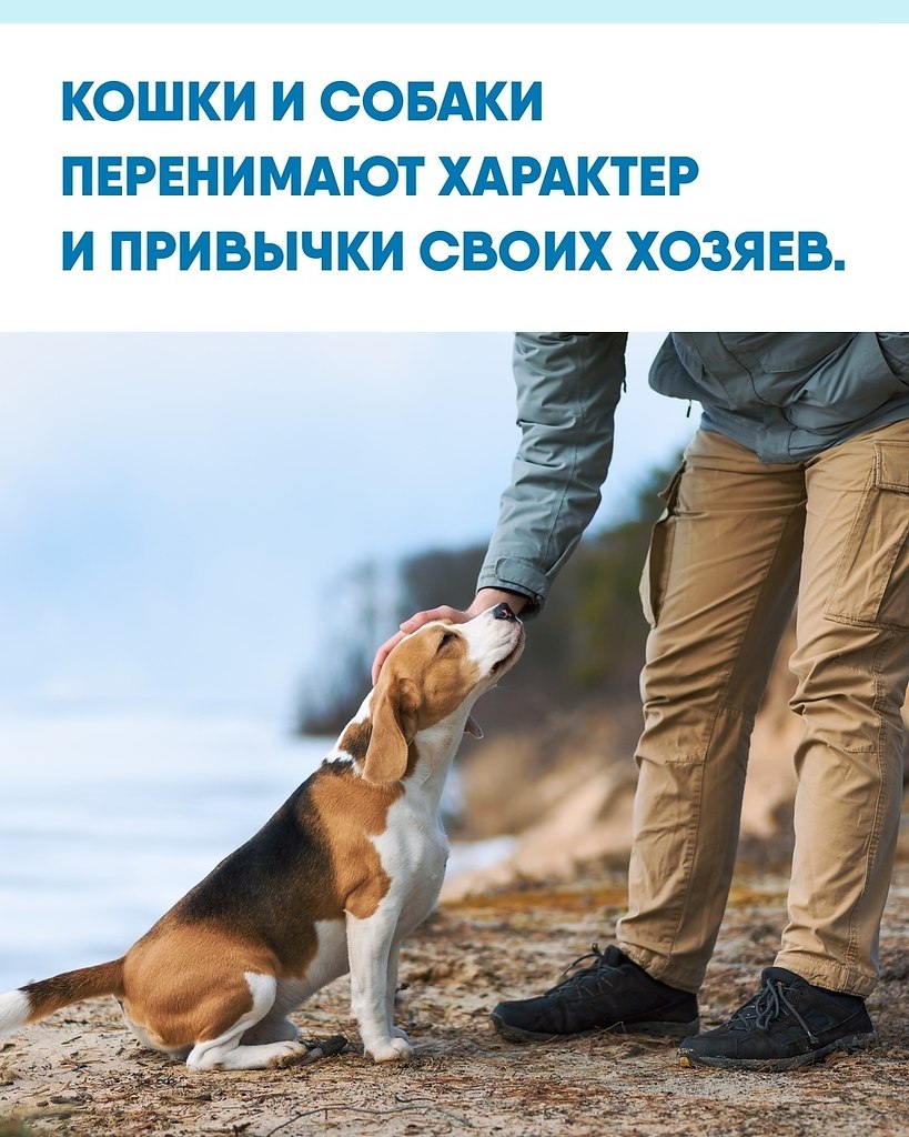 cceoae oaao, o o o oo opaa e, o o  aoc. pee  ...
