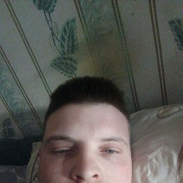 , 29, 