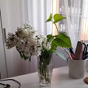 ���� ��� ., �����, 71 ��� - ��������� 18 ��� 2026 � ������ ���� ����������