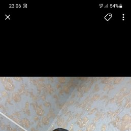 , 31, 