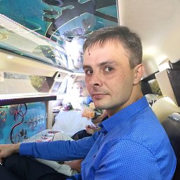 ������, 38 ���, ���������