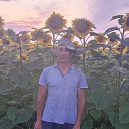 ����, 49 ���, ���������