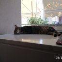 ���� �����, ��������, 61 ��� - ��������� 27 ������ 2026